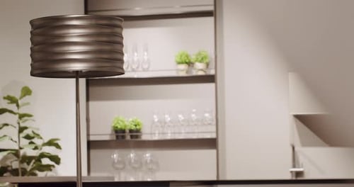 Lamp and Plant on Countertop