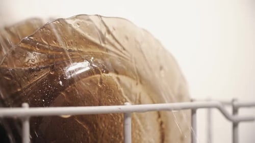 Washing Amber Plates in Dishwasher with Water