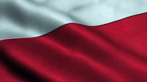 Waving White and Red Textured Flag Loop Background