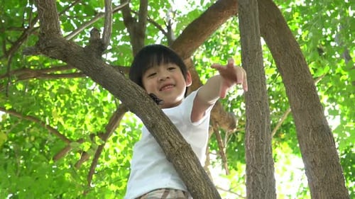 Netter asiatischer Junge klettert auf einen Baum im Park