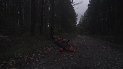 Spooky Halloween Pumpkins On The Road