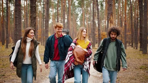 Young Friends with Backpack Bag and Guitar Talking While Walking By Path in Autumn Pine Forest