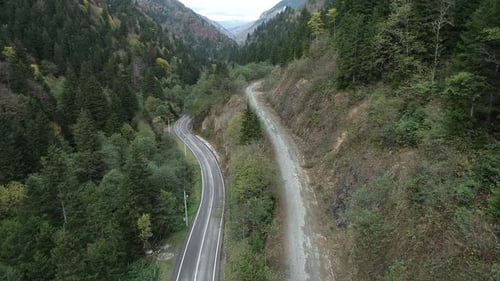 Aerial view country road in forest