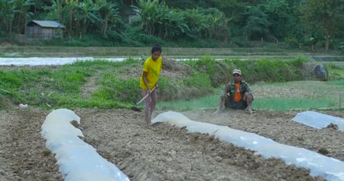 Travailler dans un potager