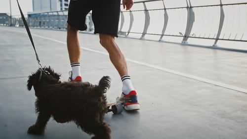 Close Up of Black Dog Running Between Couple of Riding Skaters