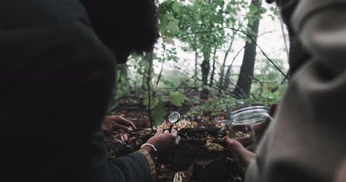 Man and Woman collect mushroom samples for testing
