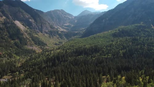 Aerial view flying backwards of green forest in the mountains