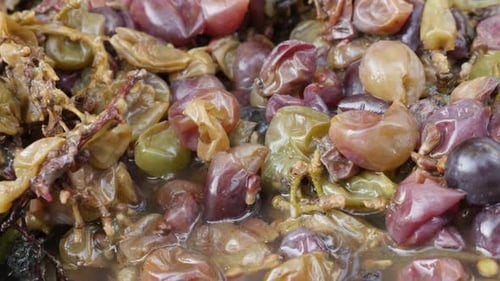 Des raisins écrasés dans des grignons juteux en 4K