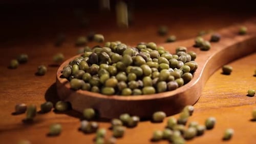 Frijol mungo. El frijol mungo también conocido como Green Gram, Maash o Moong.