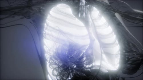 3D Human Lungs and Heart Scan with Glowing Blue Energy