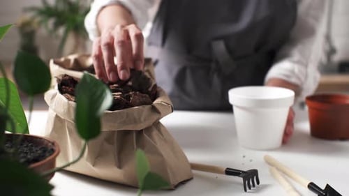 Woman Gardening at a Table with Plant and Pot