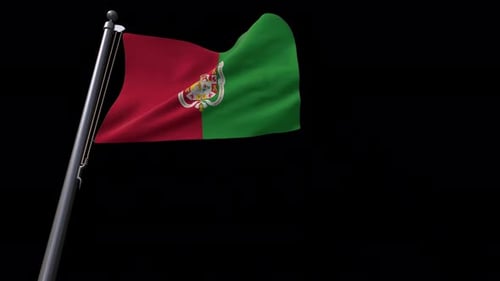 Waving Flag with Red and Green Halves and Ornate Emblem