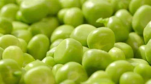 Fresh Green Peas Rotating Close Up Top View