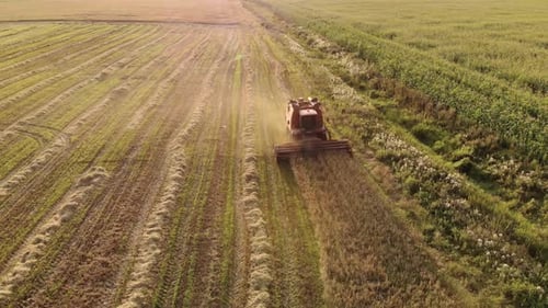 Combine Harvester Working in Rural Farm Field