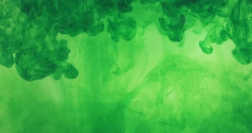 Green Color Paint Ink Drops in Water at White Background, Inky Cloud Flowing Underwater, Abstract