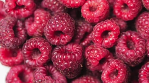 Close Up Rotation Loopable Berry. Fresh, Juicy Raspberry Background, Ripe