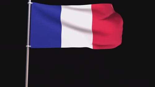 Realistic Waving French Flag Animation for National Events