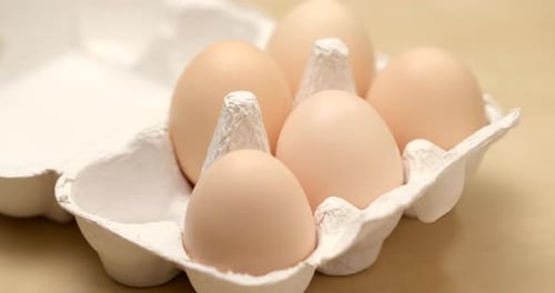 Chicken egg