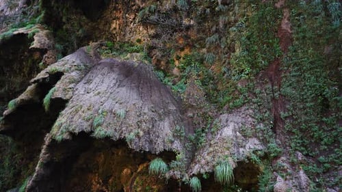 Firtree Waterfall at Sumidero Canyon in Mexico