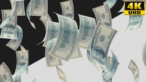 Dollars Big Money With Alpha Channel Video Loop V1