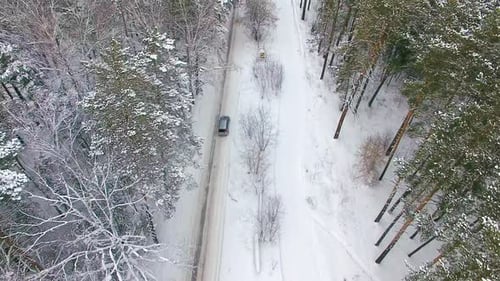 Aerial View of Car Moving in Winter Forest