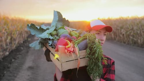 Young Woman Carrying Fresh Vegetables at Sunset