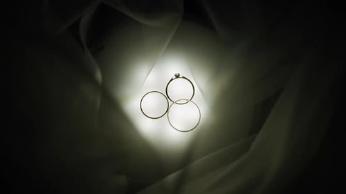 Wedding Rings on Light Panel with White Dress Veil Bride's Decor Jewerly Accessories