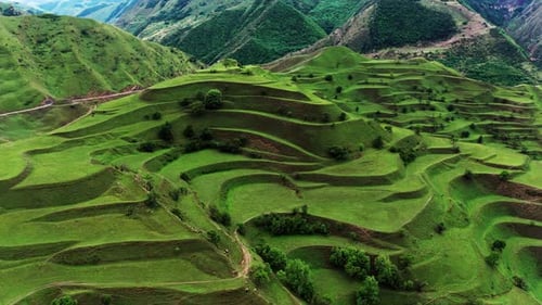 Beautiful Mountain Green Fields Terraces