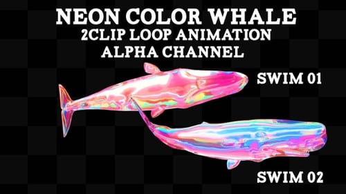 Boucle à clip Baleine de couleur néon