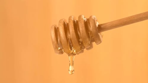 Golden Honey Dripping From Wooden Dipper Close Up