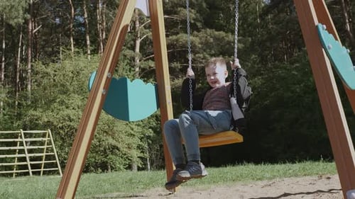 Happy Boy Swings on Wooden Swing at Playground Near Forest on Sunny Day