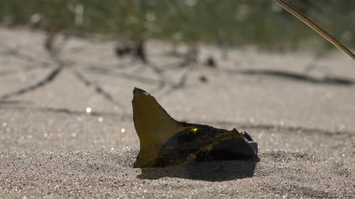 Verschmutzung des Strandes