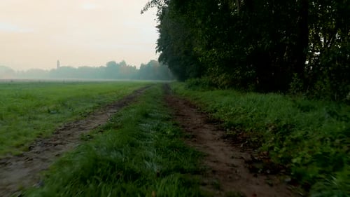 Dirt road path lined with trees at foggy autumn morning in Central Europe. Low aerial view tracking