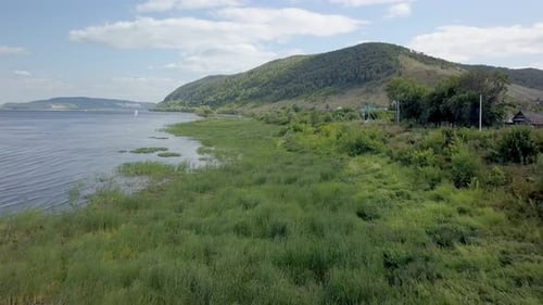 Aerial Moving Shot Over River Coast Covered Green Grass and Wildflowers in Summer Day