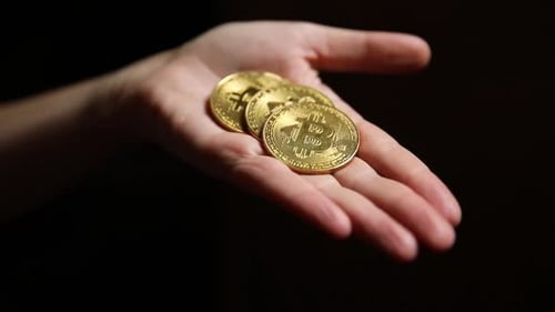 Woman Hand Holding Cryptocurrency Golden Bitcoin Coin Ondark Background