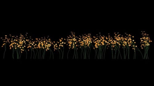 Wachsende gelbe Blumen
