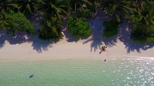 Wide angle nature of tropical shore beach by sea and sand background near surf