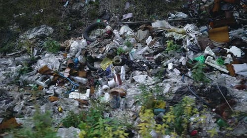 Footage Forest Pollution. Dump Garbage in Woods