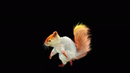 66 White Squirrel Dancing 4K