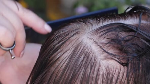 Cutting Wet Brown Hair With Scissors and Comb