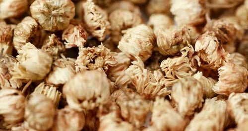 Dried Chrysanthemum Flowers for Tea Extreme Close Up