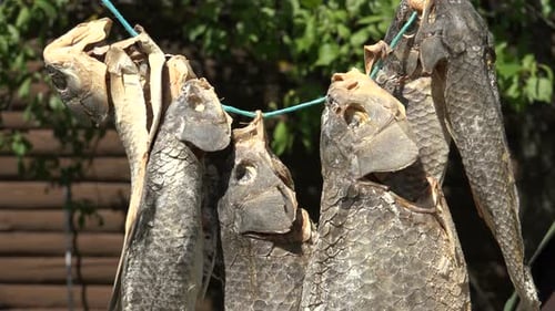 Dried Fish