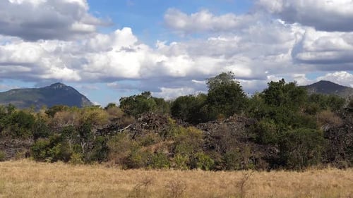 Savannah landscape in Tsavo Park, Mountain and Forest, Kenya, Slow motion