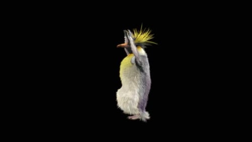 Penguin Dancing HD