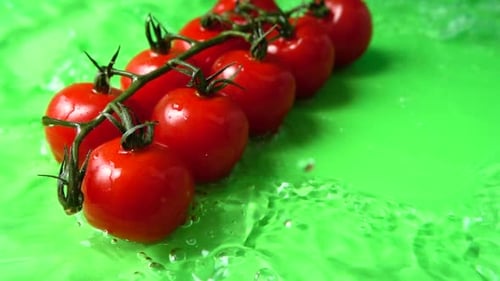 The Falling Cherry Tomatoes in Water