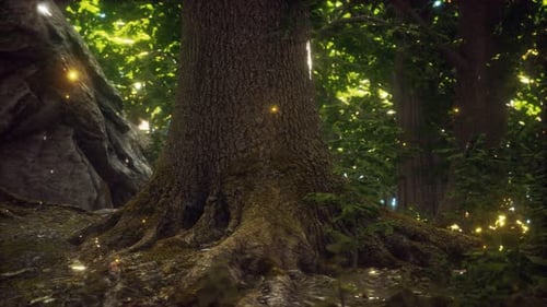 Luces fantásticas de luciérnagas en el bosque mágico