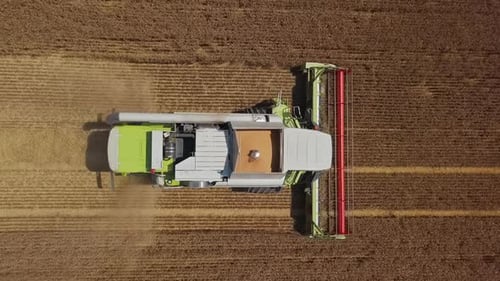 Combine Harvester Working in Wheat Field From Above