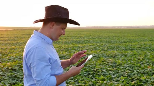 A Young Agronomist Studies Plants in a Field and Uses a Tablet