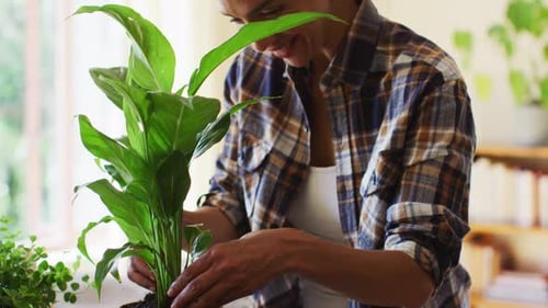 Woman Transplants Plant, Smiling
