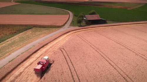 Mähdrescher sammelt reifen Weizen auf dem Feld